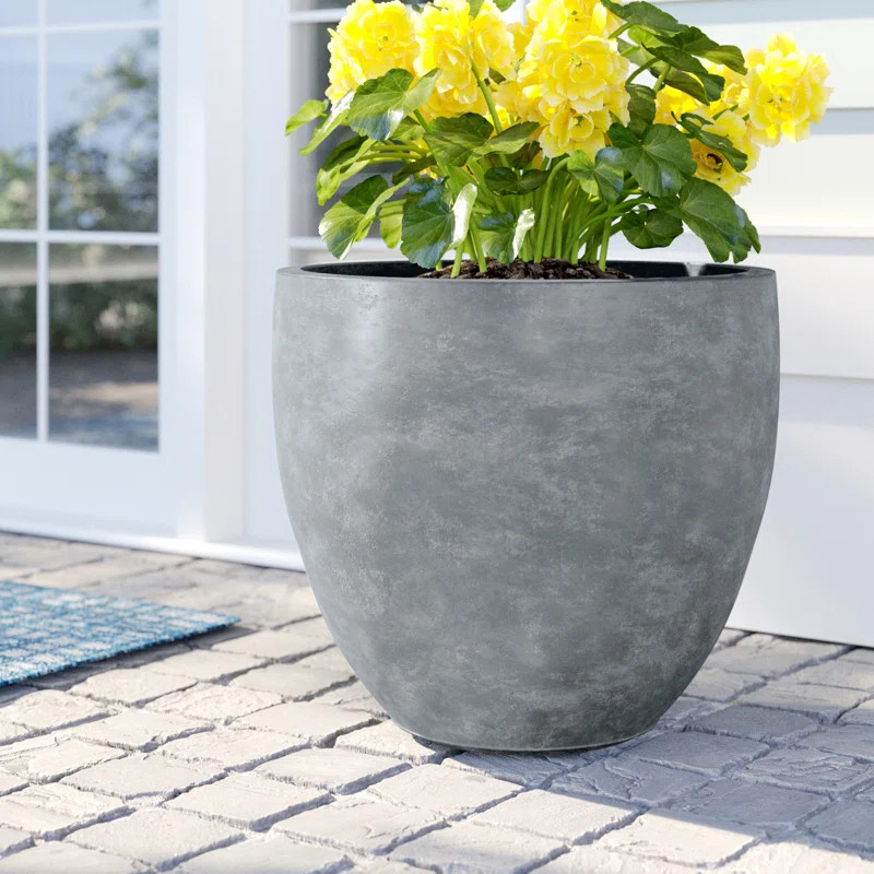 Acushnet Pot Planter | Wayfair Professional