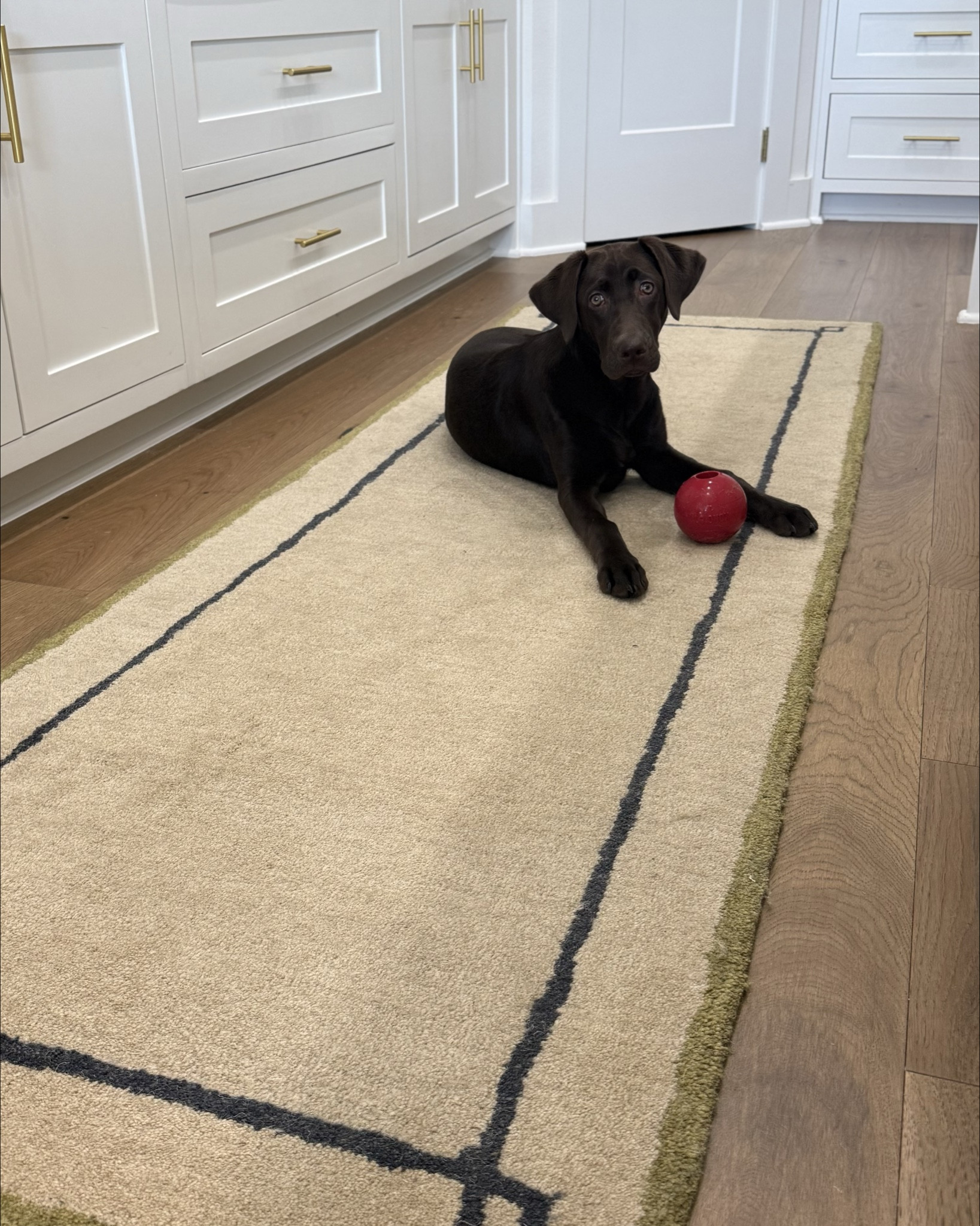 One of my most used rugs — we have this runner in our kitchen and entryway. They’re doing a buy one rug, get another 50% off for Presidents’ Day, so I linked it here! 

#LTKHome #LTKSaleAlert