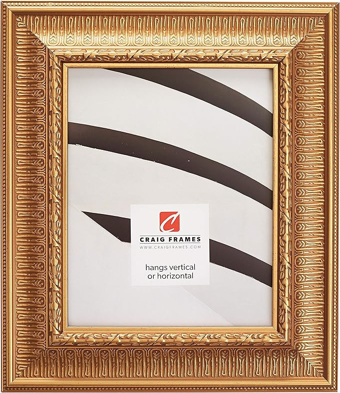 Craig Frames Maximus Picture Frame, 20 x 20 Inch, Roman Gold | Amazon (US)