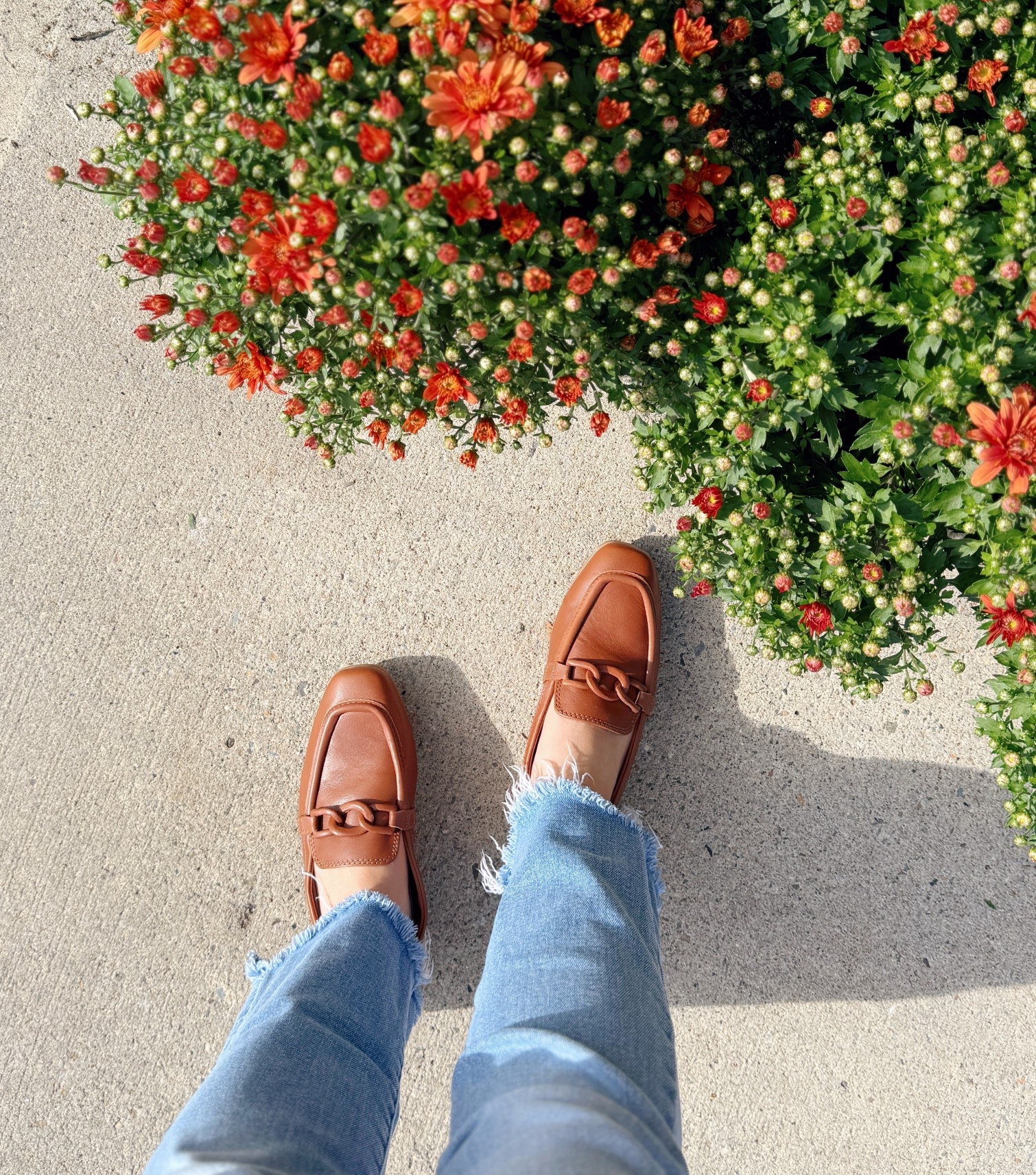 Fall denim - cropped mother jeans, and brown autumn loafers by Tom's 

#LTKPetite