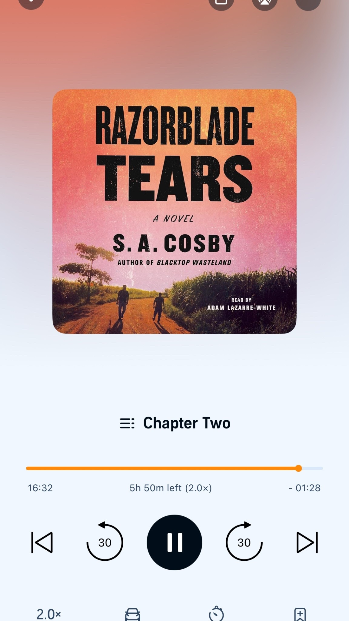 Razor blade Tears by S.A. Cosby

#LTKFindsUnder100 #LTKFindsUnder50