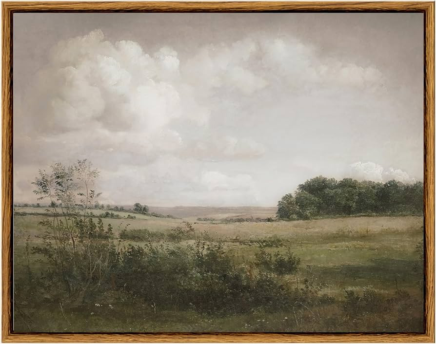 VIYYIEA Vintage Landscape Wall Art, Nature Wilderness Scenery Paintings Decor Aesthetic, Framed C... | Amazon (US)