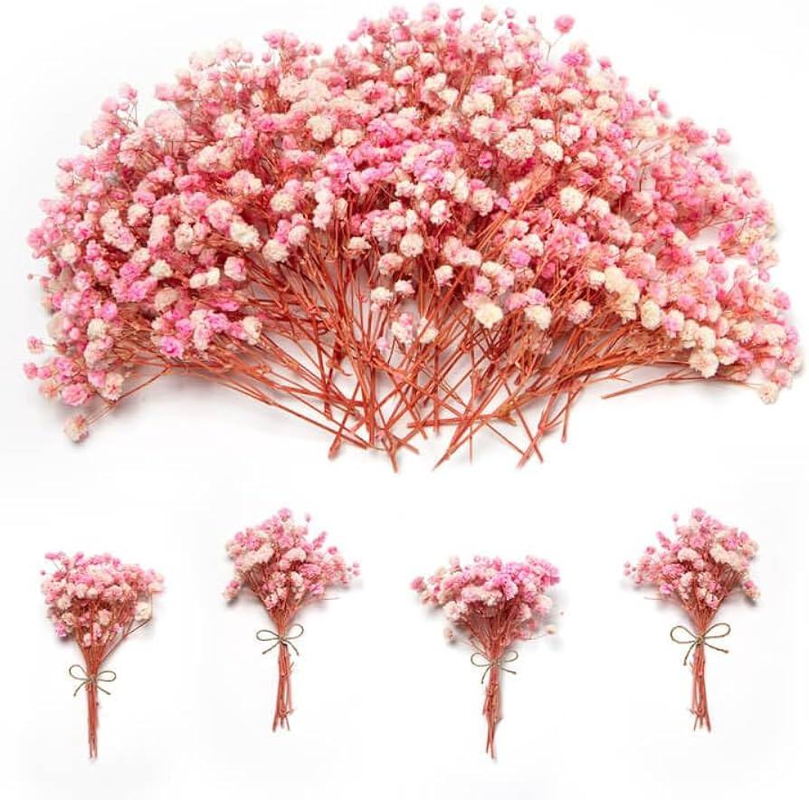 1500+ Mini Pink Dried Babys Breath Flowers, 50pcs Baby Breath Bouquet, 6'' Natural Gypsophila Bul... | Amazon (US)