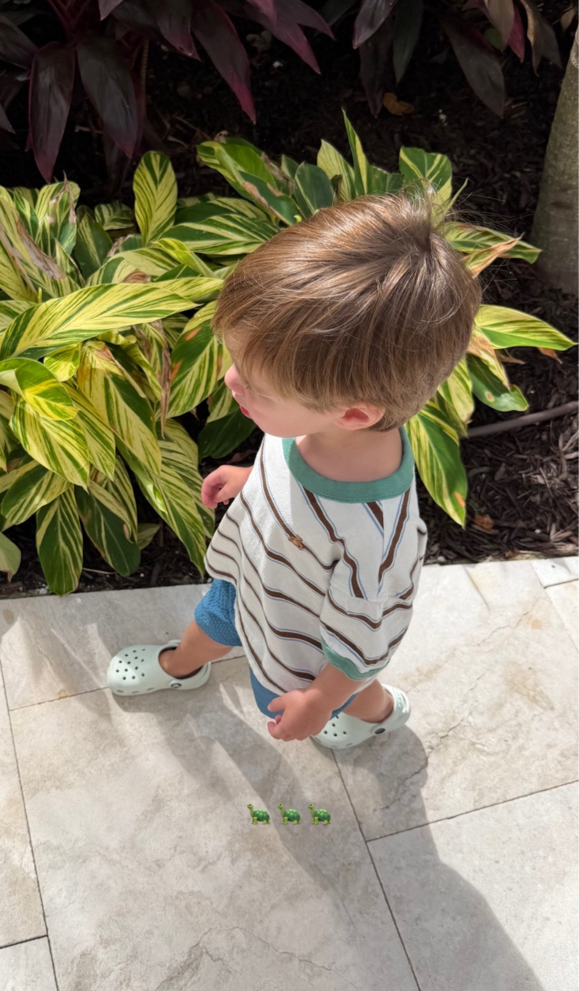Toddler ootd 🐢

#LTKKids