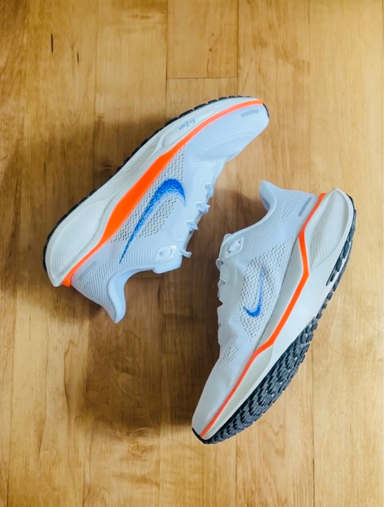 Nike Pegasus 41 ブループリント