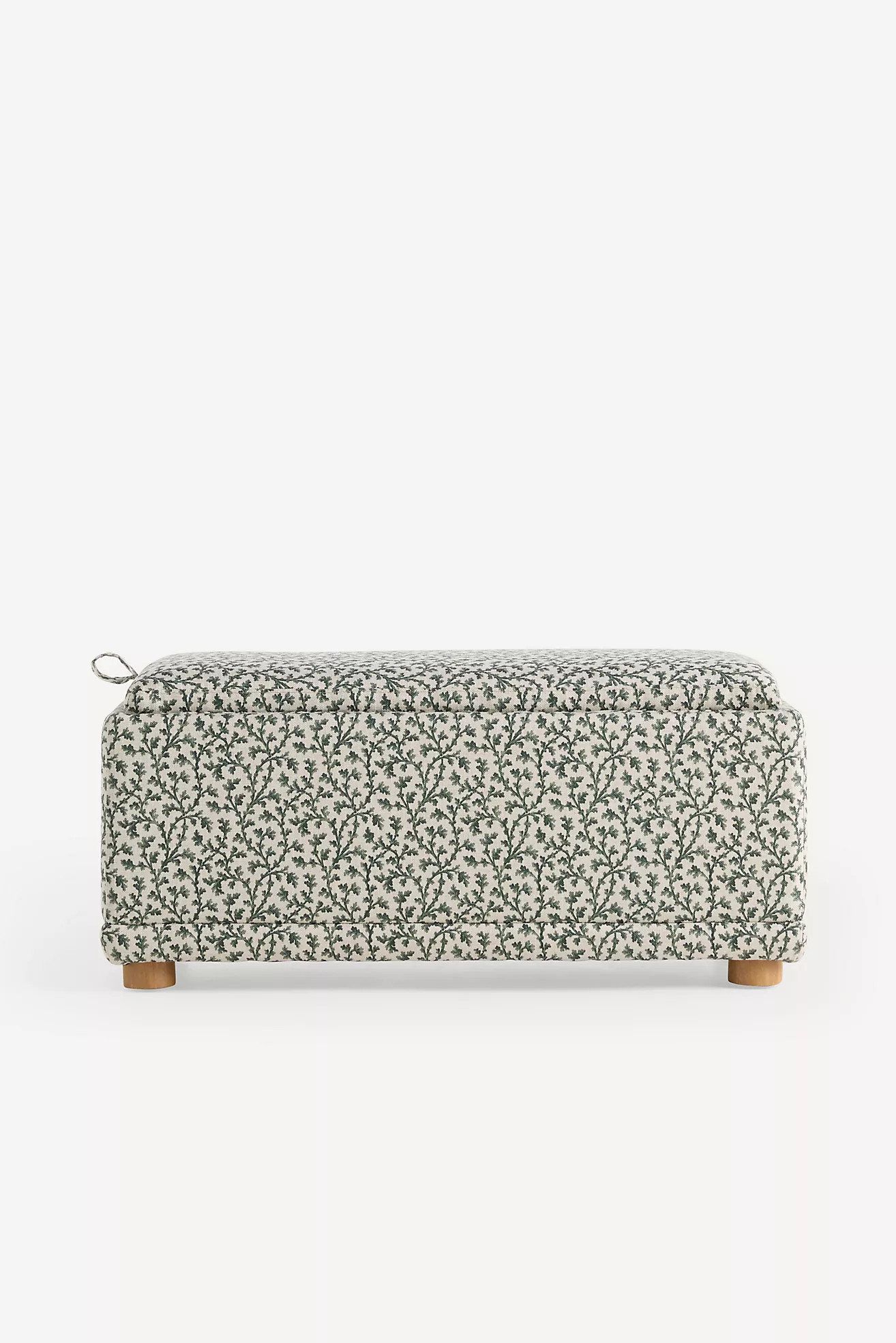 Celine Irena Small Storage Ottoman | Anthropologie (US)