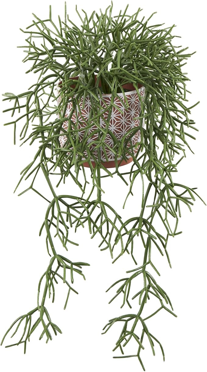 Deco 79 Faux Foliage Cascading Artificial Plant with Geometric Terracotta Pot, 14" x 13" x 10", B... | Amazon (US)