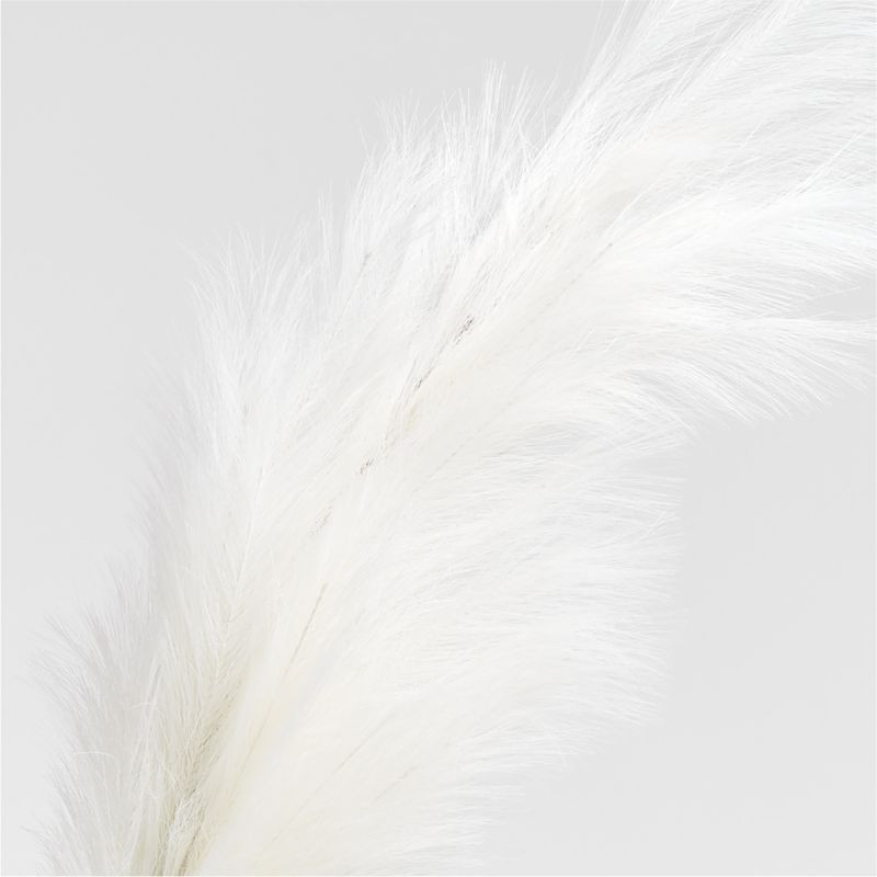 Artificial/Faux Ivory Tall Pampas Grass Decor 6' + Reviews | Crate & Barrel | Crate & Barrel