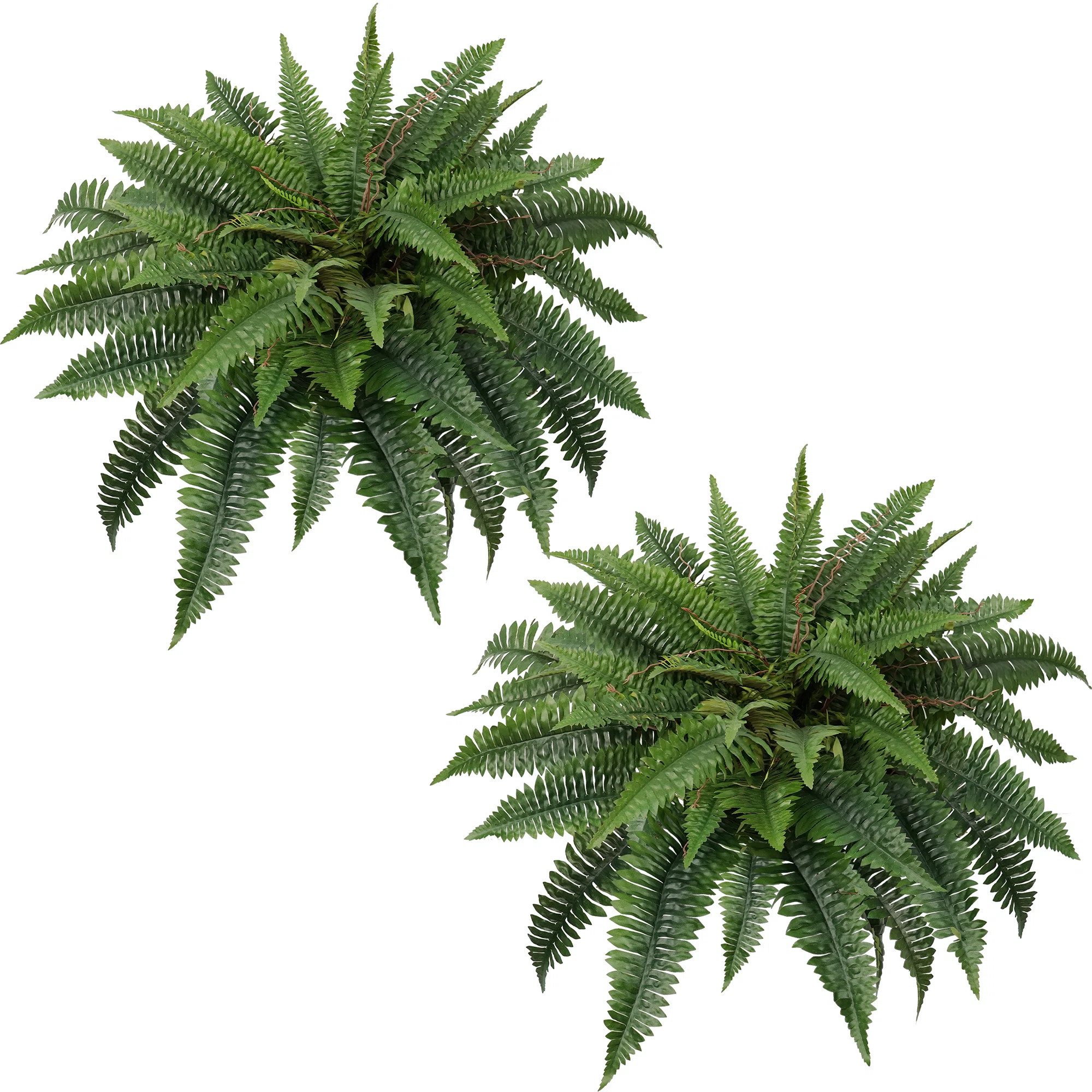 Fake Boston Ferns,Artificial Fern for Home, Office, Garden Indoor Outdoor Decors(Set of 2) (Set o... | Wayfair North America