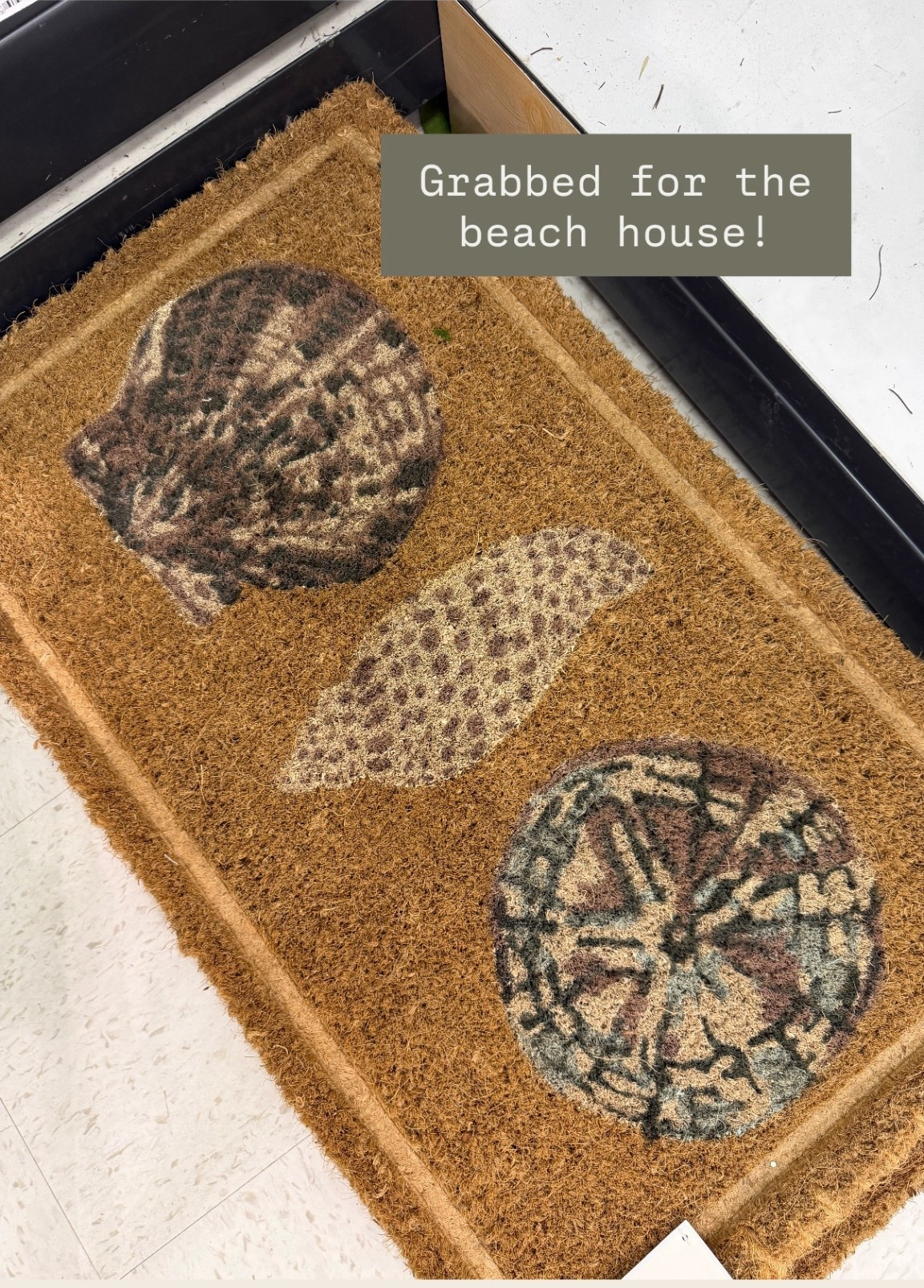 How cute is this seashell rug?! Perfect for a beach house!

Loverly Grey, Target find, seashell rug, beach house decor 

#LTKHome
