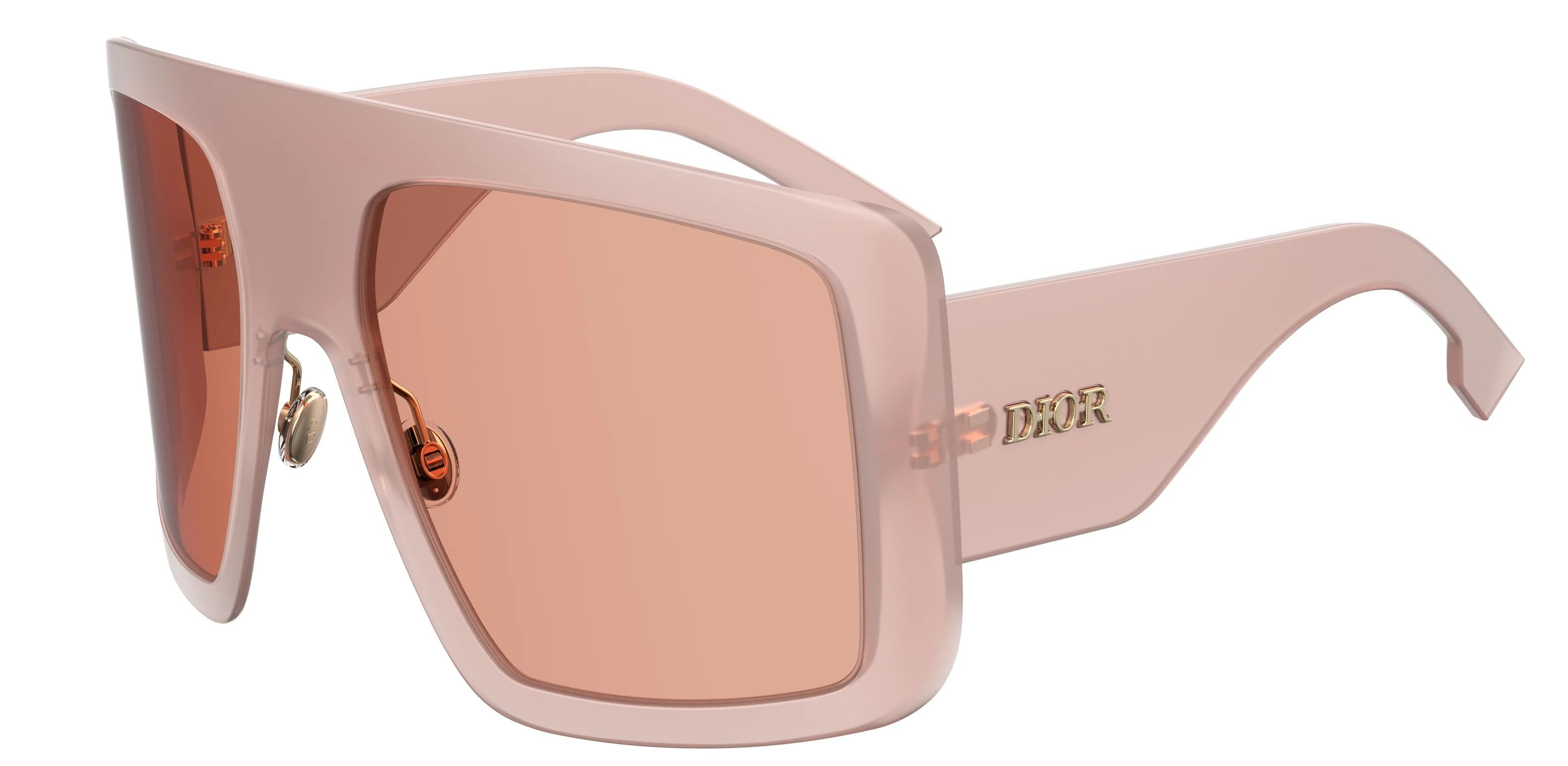 Christian Dior DIORSOLIGHT1 Square Sunglasses | SOLSTICE