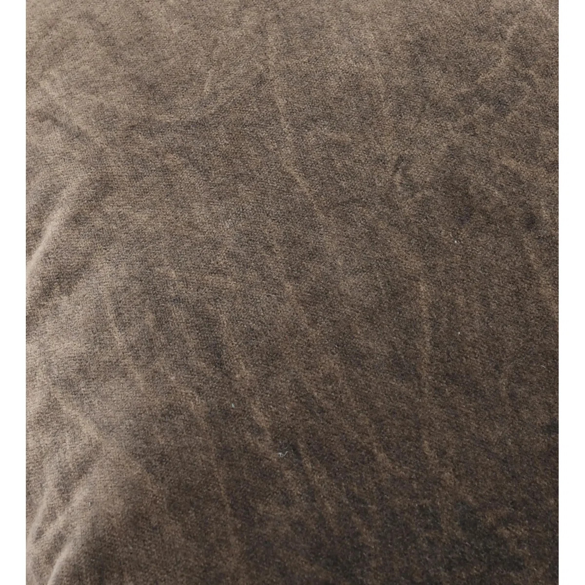 Goodall Pillow Cover & Insert | Wayfair North America