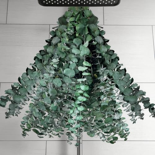 35 PCS Dried Eucalyptus Stems for Shower Hanging, 100% Made from Fresh Leaves, 17” Preserved Eucalyptus for Vase Filler, Wedding, Farmhouse, Bathroom, Home & Spa Decor | Amazon (US)