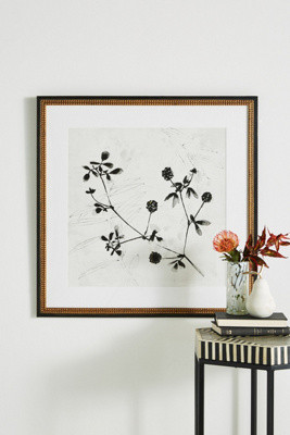 Field Flower Wall Art | Anthropologie (US)