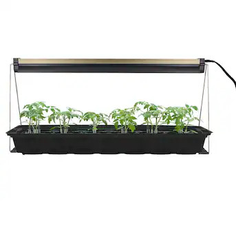 Ferry-Morse Grow light | Lowe's