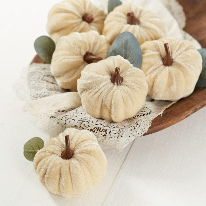 Group of 6 Ivory Mini Velvet Pumpkins for Fall Decorating and Displays by Factory Direct Craft | Amazon (US)