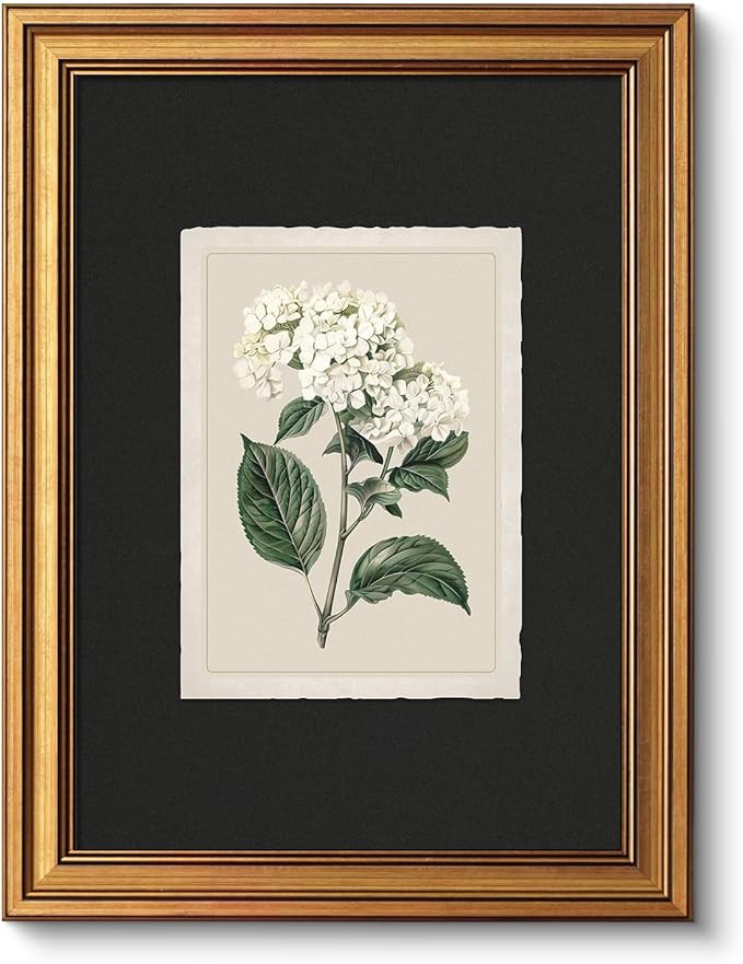 VIYYIEA Vintage Gold Framed Wall Art Print Home Decor, White Hydrangea Painting Canvas Prints, Ae... | Amazon (US)