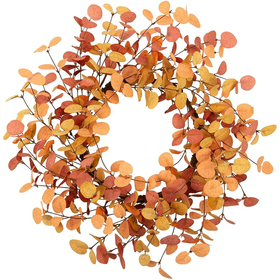 18 Inch Eucalyptus Leaves Fall Wreath - Artificial Autumn Farmhouse Wreath for Front Door, Home W... | Amazon (US)