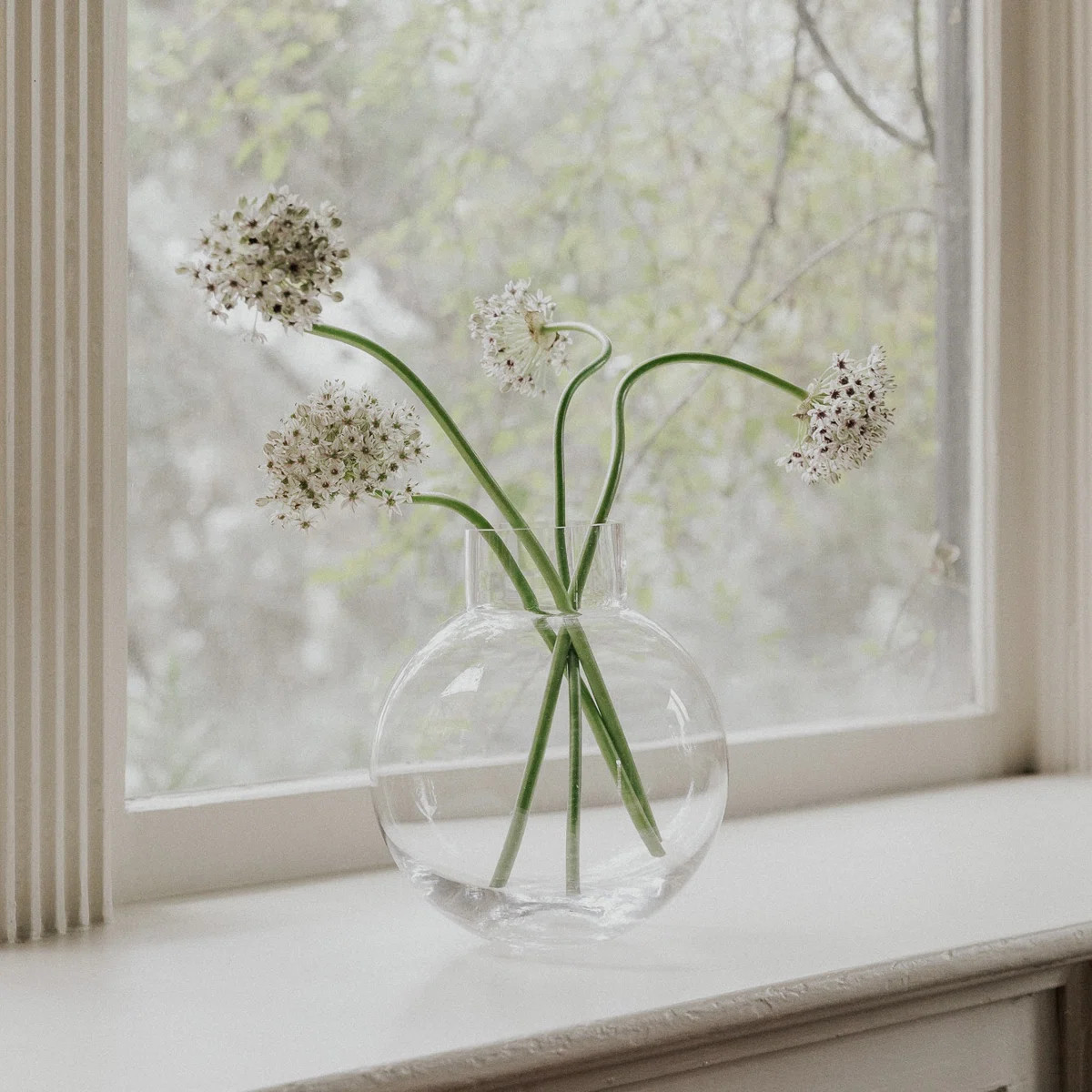 Ball Glass Vase - Clear | Wayfair North America