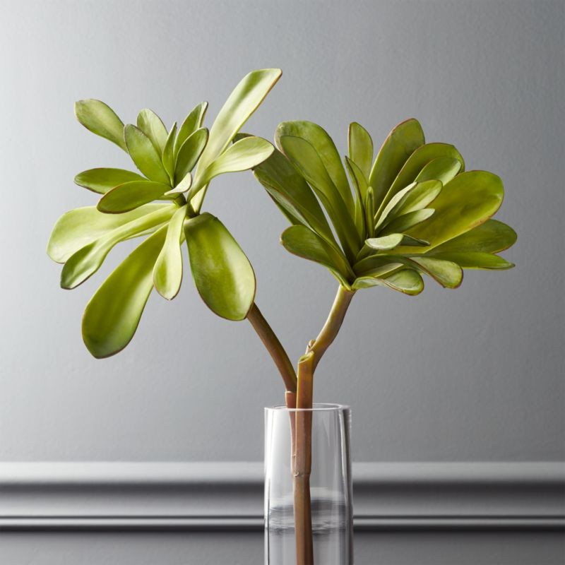 Faux Maguey Pick 15" + Reviews | CB2 | CB2