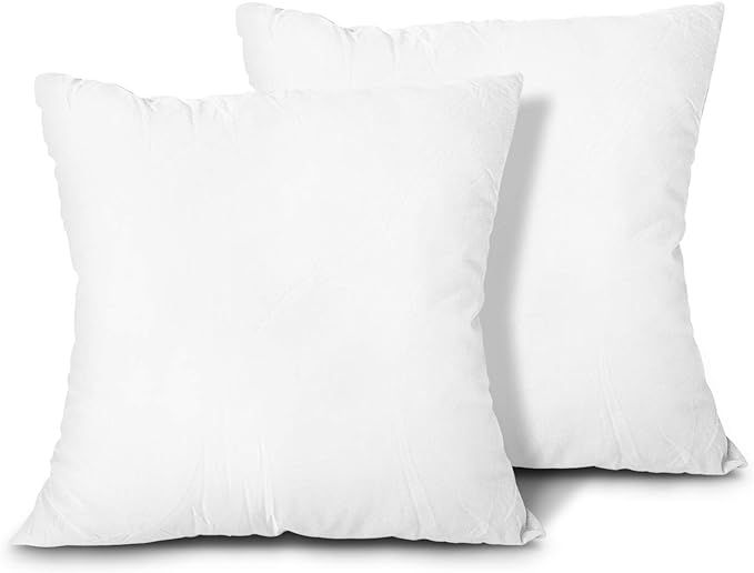EDOW Throw Pillow Inserts, Set of 2 Lightweight Down Alternative Polyester Pillow, Couch Cushion,... | Amazon (US)