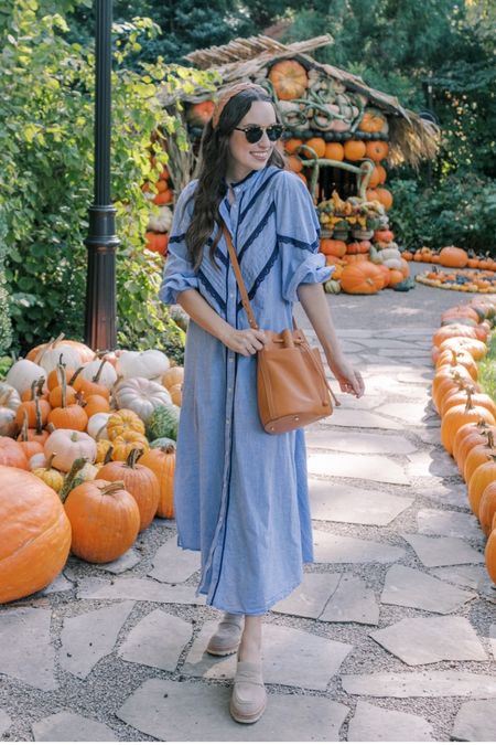 Fall outfits, thanksgiving outfit, chambray dress, Tuckernuck dress, blue dress, bucket bag, heeled loafers, 

#LTKitbag #LTKSeasonal