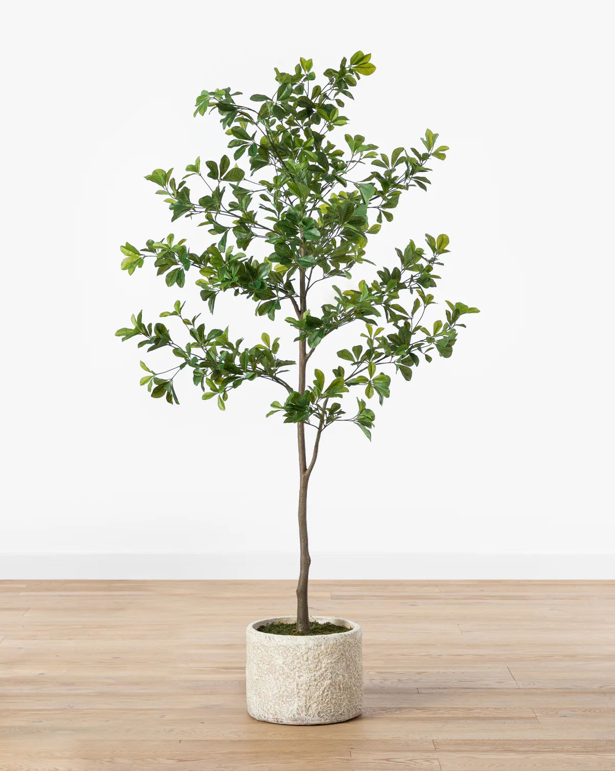 Shady Lady Faux Tree | McGee & Co. (US)