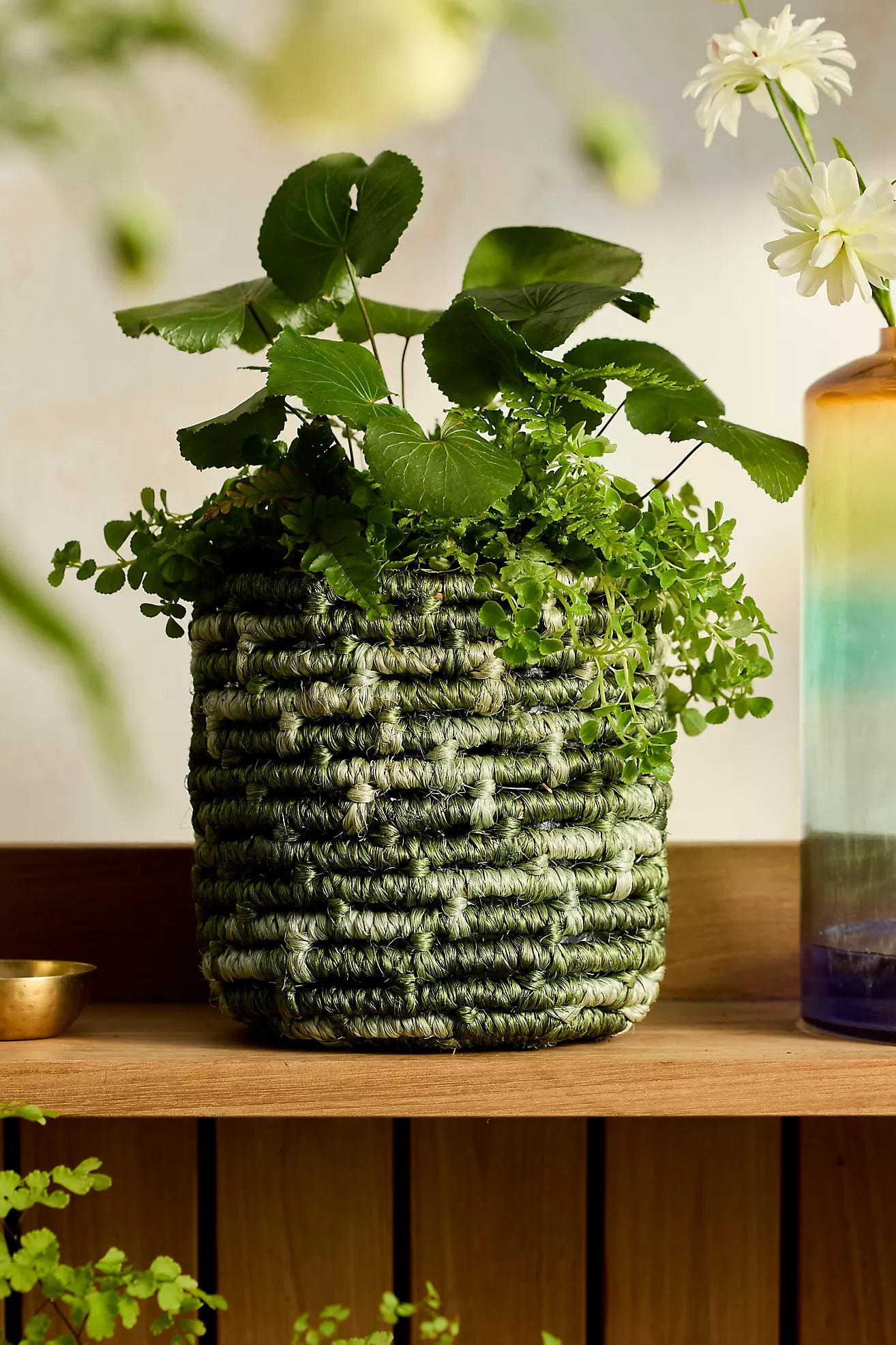Emerald Abaca Basket Pot | Anthropologie (US)