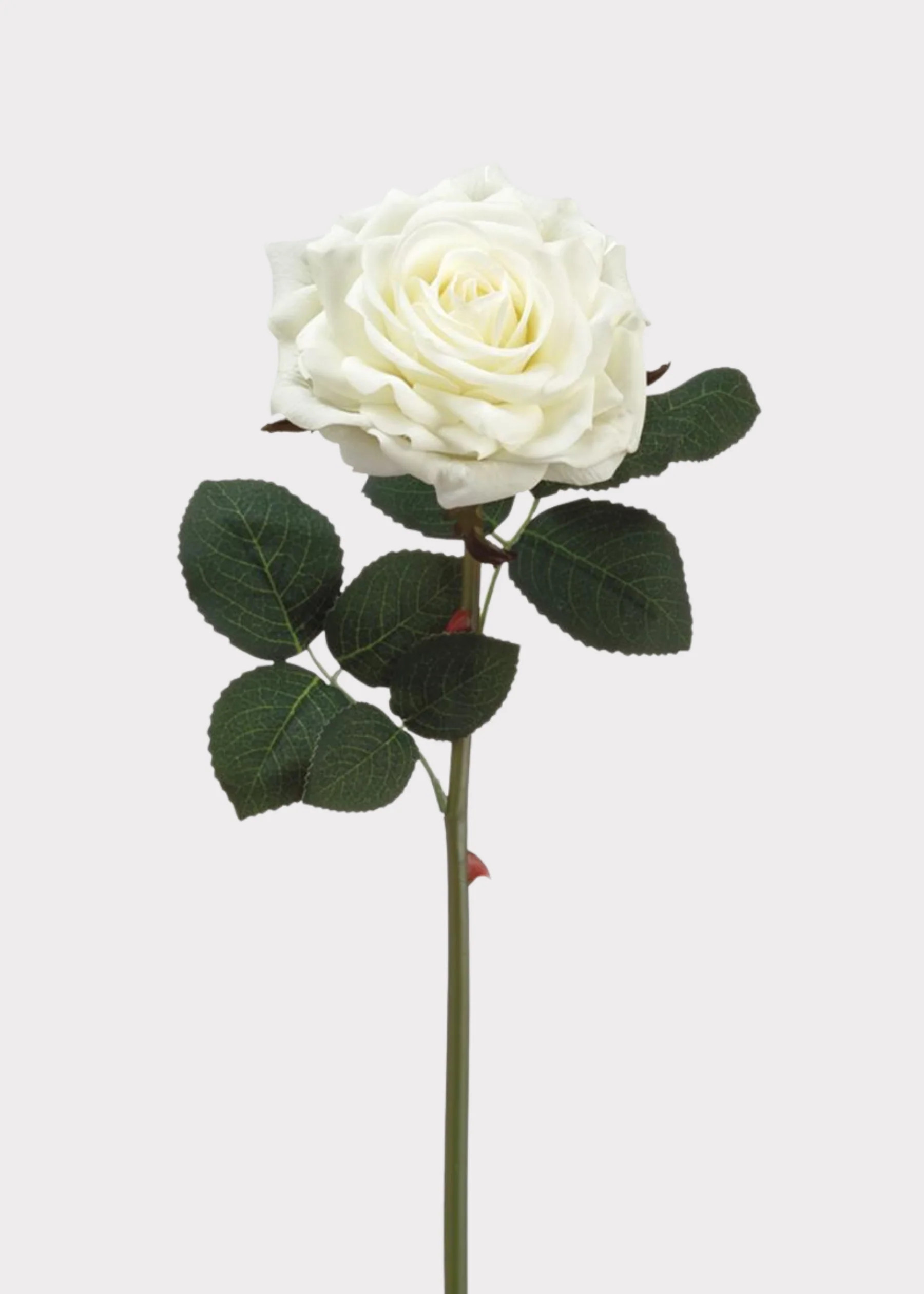 White Real Touch Rose - 12" | Afloral