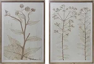 Creative Co-Op Floral Print Décor with Wood Frame and Glass Cover, Set of 2 Styles Wall Art, 28"... | Amazon (US)