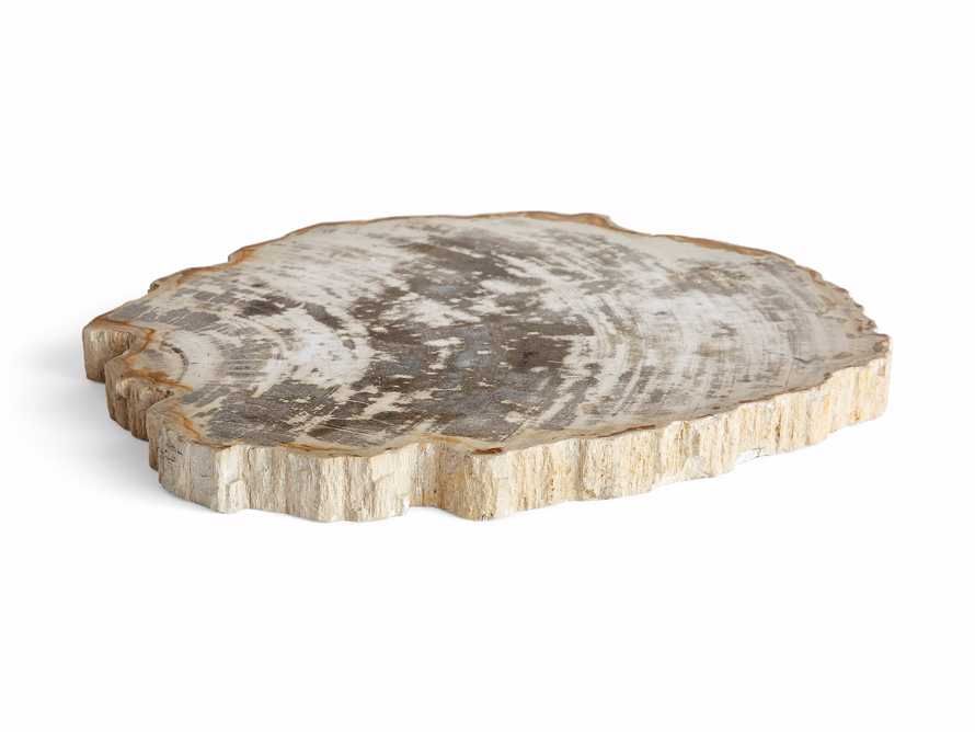 Petrified Wood Slab | Arhaus