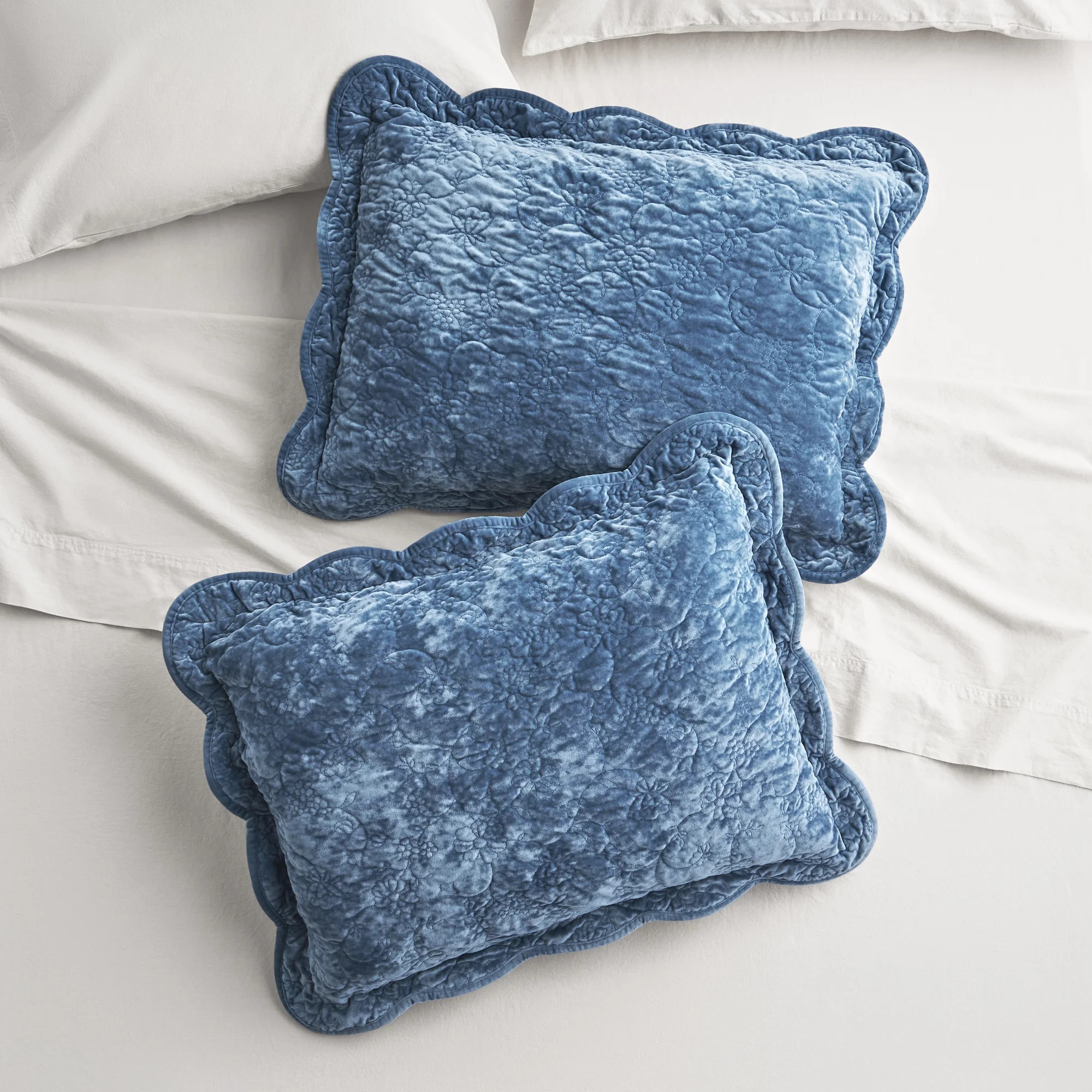 The Pioneer Woman Eloise Floral Velvet Pillow Shams, Standard, Blue Dust, 2 Pack | Walmart (US)