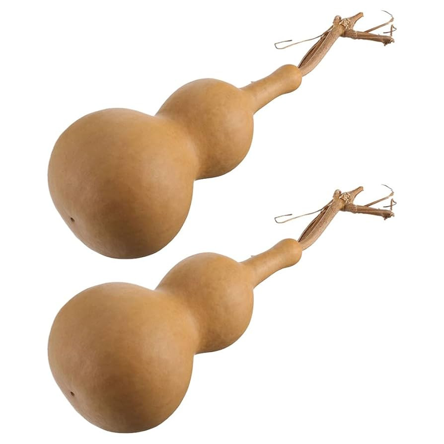 Toyvian 2pcs Natural Dried Gourd Wood Bottle DIY Painting Wood Peg Doll Crafts, Chinese Gourd Bot... | Amazon (US)