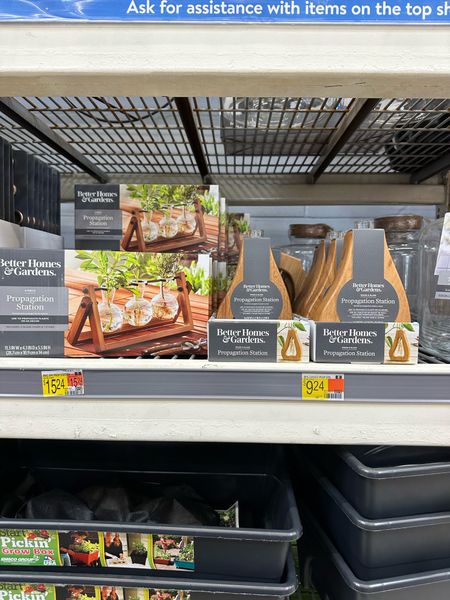 Walmart summer faves #walmart #walmarthome #summer #terranium #vase #gardening  

#LTKFindsUnder50 #LTKHome #LTKSeasonal