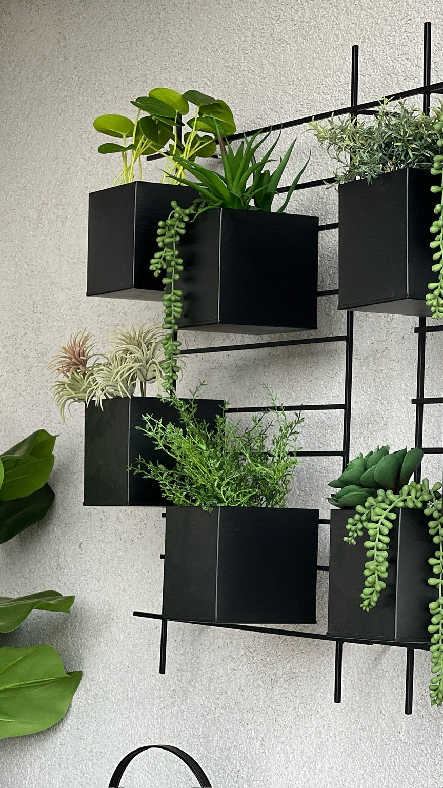 This wall planter set elevates any backyard! We mounted it to the actual stucco in our grilling corner! Iron wall planter, outdoor wall planter

#LTKHome #LTKSeasonal