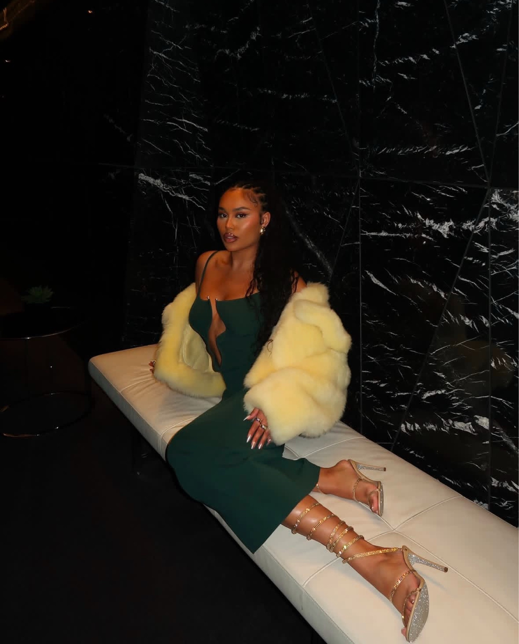 Fur coat weather ✨