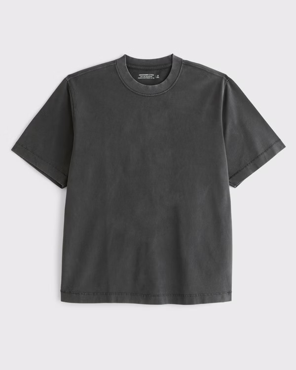 Premium Heavyweight 2.0 Tee | Abercrombie & Fitch (US)