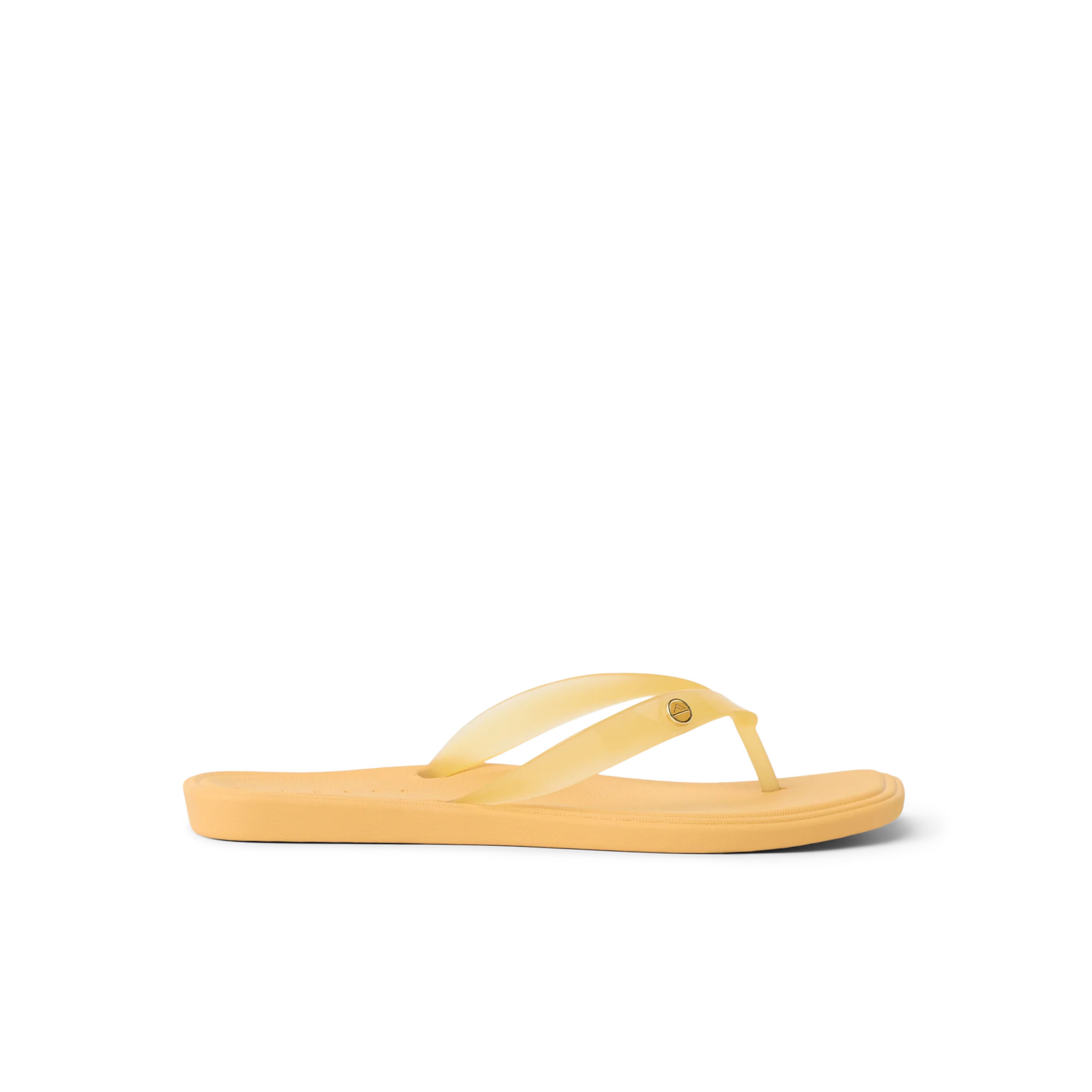 Solaye | REEF