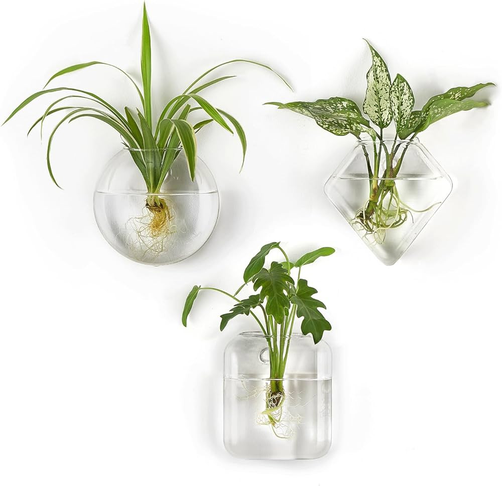 Mkono Wall Planter Propagation Stations Hanging Glass Terrariums Vase Container for Propagating H... | Amazon (US)