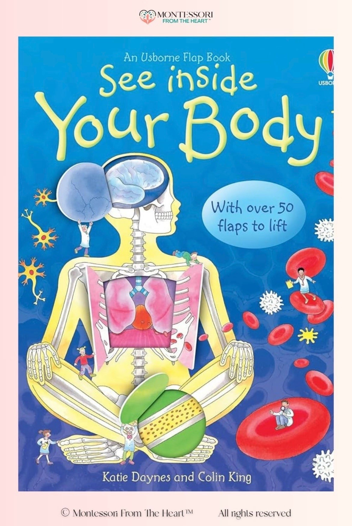 See Inside Your Body ~ Book for Kids

#LTKhome #LTKfamily #LTKkids