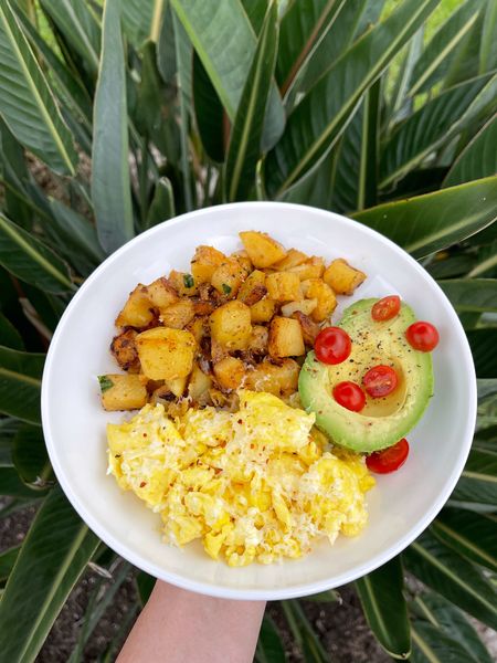 Follow @eatingwithshields for easy meals, food prep & more! 

Struggling to fit breakfast into your morning? Try this simple breakfast to start your day off right! Scrambled eggs with @cabotcreamery seriously sharp white cheddar, skillet breakfast potatoes (recipe on my page…great for meal prep) and a hass avocado topped with cherry tomatoes. Protein, carbs and good fats in one meal! 👏🏼🥚🥔🥑

#breakfast #breakfastideas #easyrecipes #easymeals #mealprep #feedfeed #explore #cooking #food #potsandpans 

#LTKhome #LTKsalealert #LTKfindsunder50