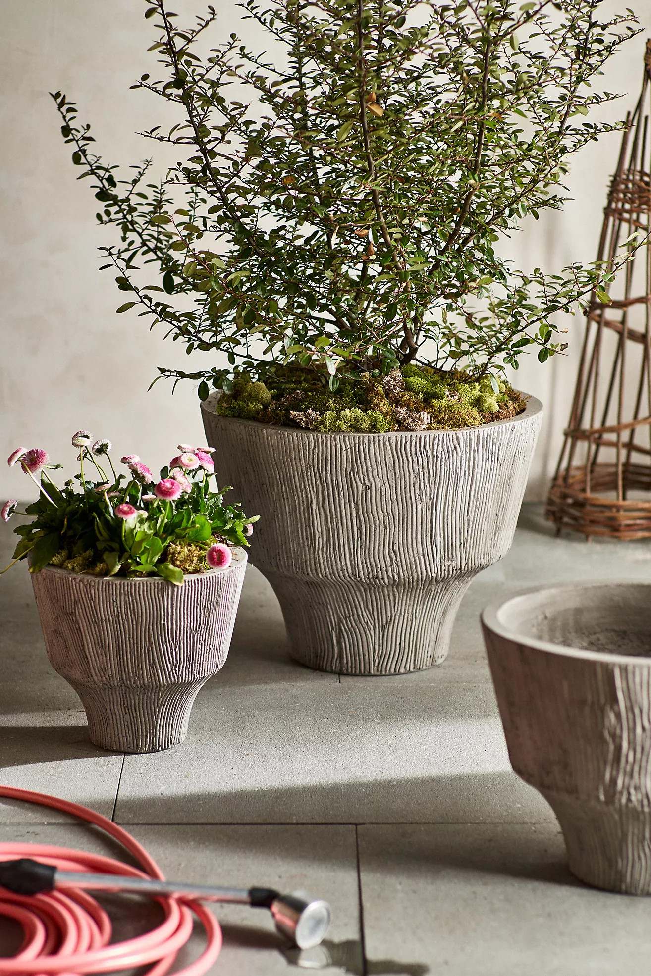 Terrain | Anthropologie (US)