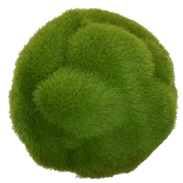 3.5'' Moss Topiary (Set of 12) | Wayfair North America