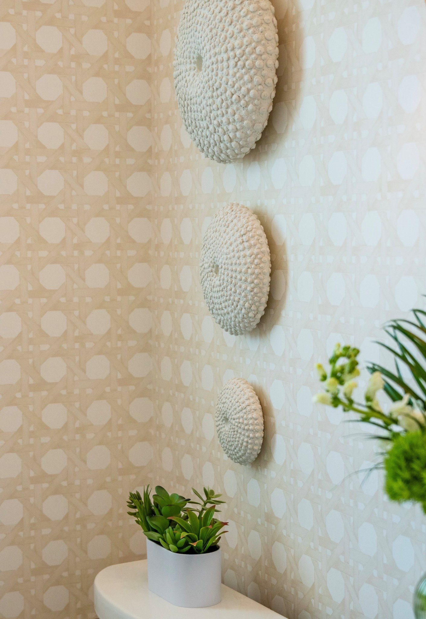 Details matter! ✨🌊

#LTKHome #LTKSeasonal