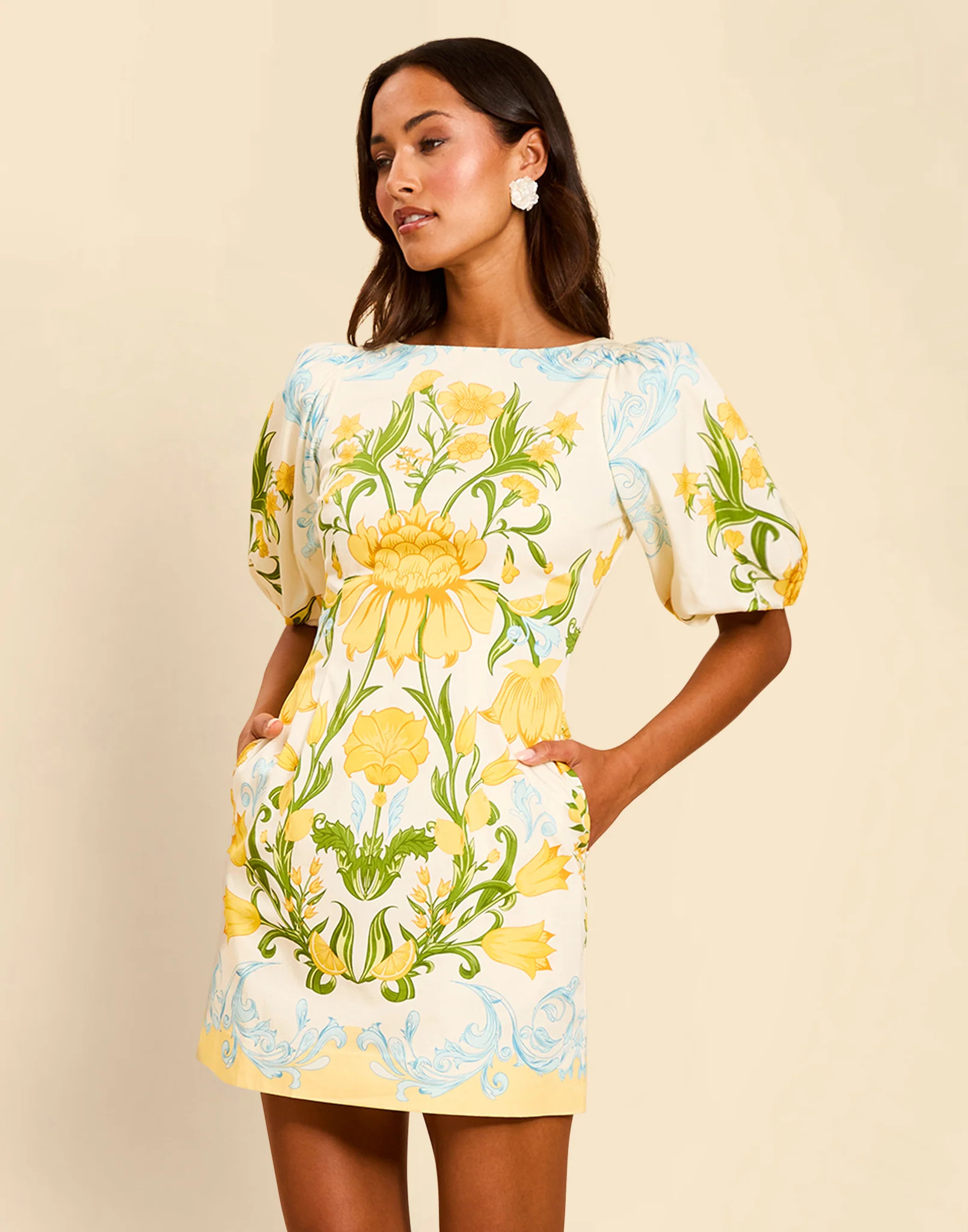 Donovan Mini Dress | Mestiza New York