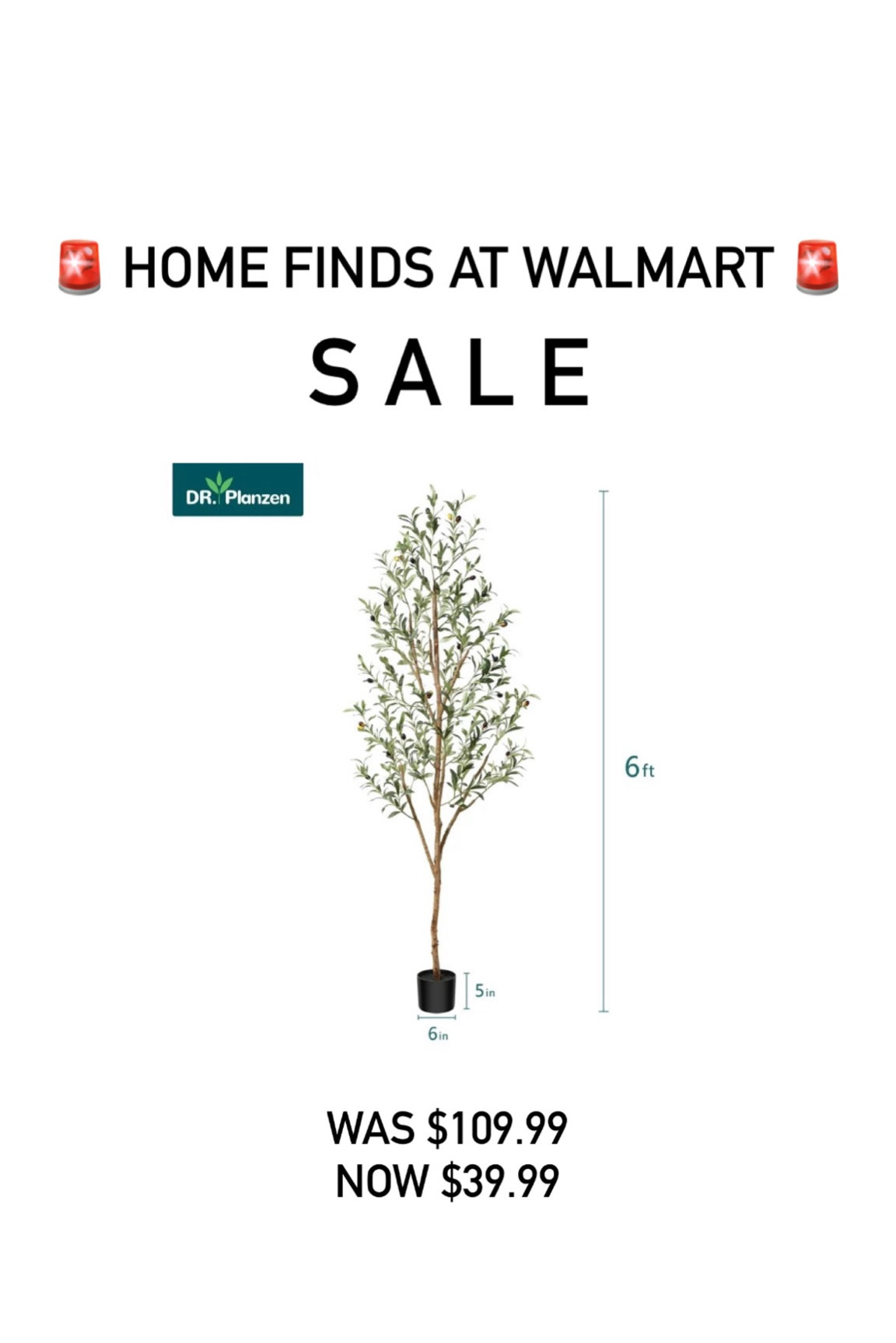 Cute olive tree on sale! 

#LTKhome #LTKHoliday #LTKsalealert