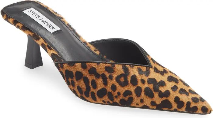 Steve Madden Mod-A Leopard Print Genuine Calf Hair Mule (Women) | Nordstrom | Nordstrom