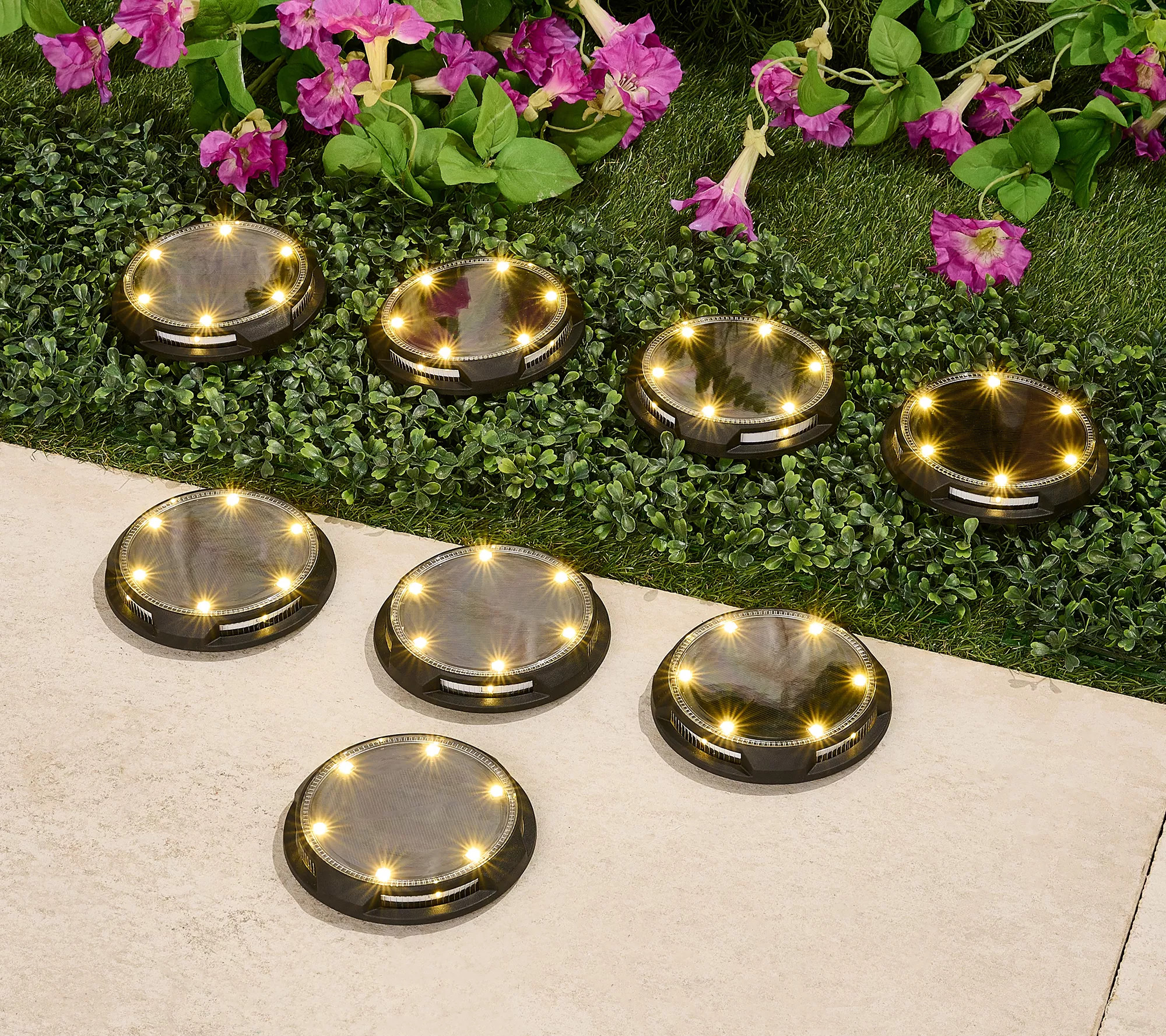 Make Your Selection: Energizer 8-pc 20-Lumen Solar Disc Lights with Color-on-Demand | QVC