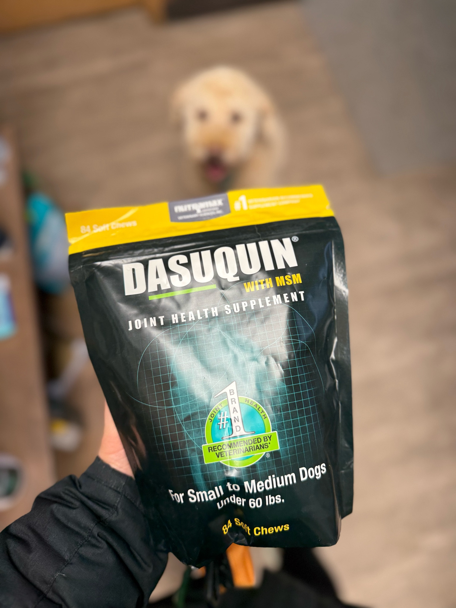 The only supplement Louie takes daily! Linking both the small/medium and large dog vitamin options. 🐶❤️