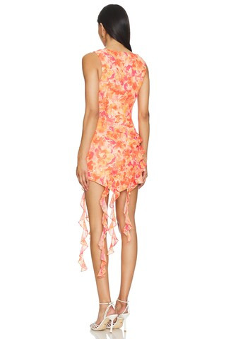 Lilo Mini Dress in Sunset Floral Multi | Revolve Clothing (Global)